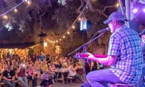 A musician performs on stage in front of a vibrant, engaged crowd illuminated by string lights.